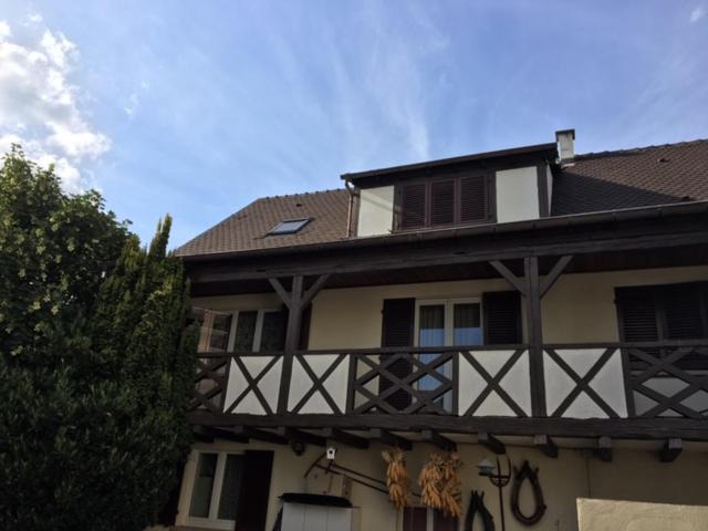 Les Hibiscus Villa Andolsheim Exterior photo